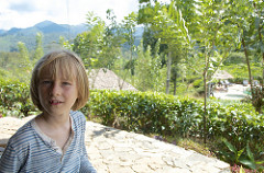 T in ella