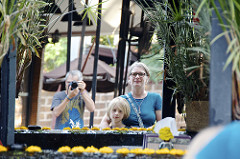 TRE in chiang mai