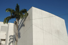 palmenwand