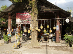durian