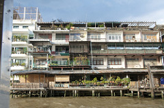 chao praya river