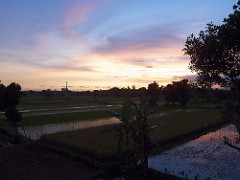 from our terrace