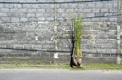 gras