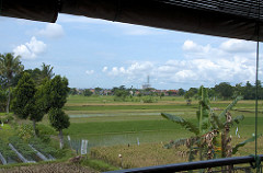 from our terrace
