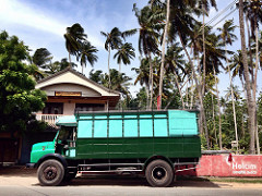 colored truck