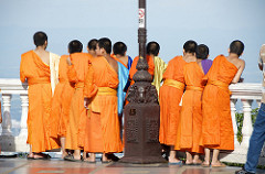 novices