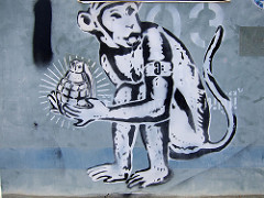 monkey at war