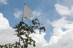 buddhist flag