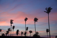 kitschy sundown