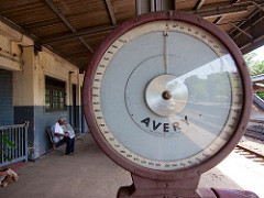 scale
