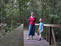 rainforest