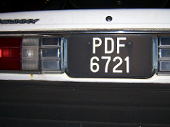 sunny PDF