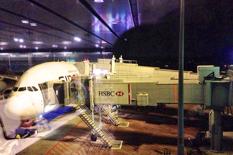 Bali-Berlin-Bali